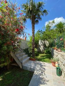 A garden outside Sunny Bay Apartments