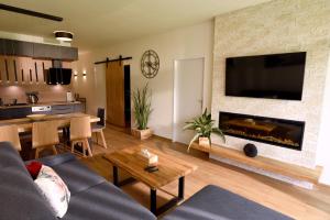 a living room with a couch and a fireplace at Apartmán DOKY Lipno in Lipno nad Vltavou