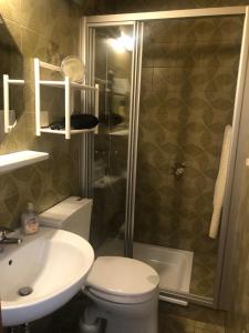 a bathroom with a shower and a toilet and a sink at Apartments by Haus Ingrid in Kötschach