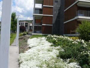 Zahrada ubytování Apartamentos Las Margas Golf Formigal Ordesa