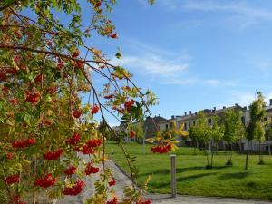 Zahrada ubytování Apartamentos Las Margas Golf Formigal Ordesa