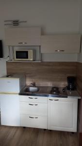 Kuchyň nebo kuchyňský kout v ubytování Guest house Garfild 2