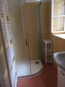 a shower stall in a bathroom with a sink at Zámek Dobrohoř in Dobrohoř +21 photos