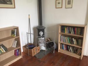a living room with a wood stove and books at Zámek Dobrohoř in Dobrohoř