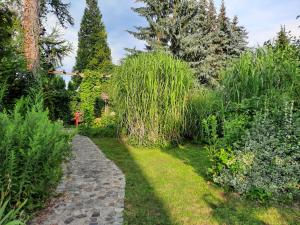 Ein Garten an der Unterkunft Auf "Kleine Wiesen"