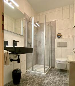 a bathroom with a shower and a sink and a toilet at Ferienweingut Matthias Löwen in Detzem +74 photos