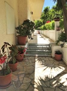 Gallery image of Aliki Studios in Boukari