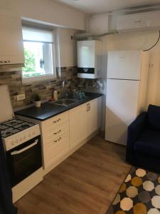 a kitchen with a white refrigerator and a sink at Beside Airport in Otopeni