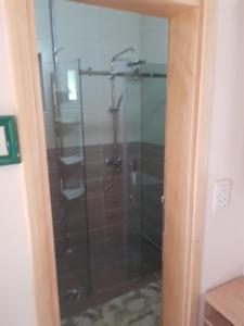 eine Dusche mit Glastür im Bad in der Unterkunft Kuća za odmor Andrej in Perućac