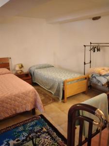 a bedroom with two beds and a rug at Giardino Dei Fiori in Castelnuovo di Garfagnana