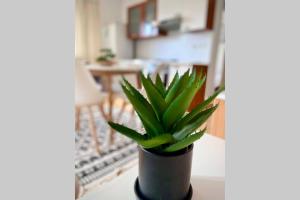 Gallery image of Cozy Apartment Umag in Umag +12 photos