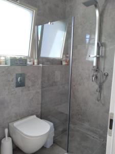 a bathroom with a shower and a toilet and a sink at מתוק באמצע המדבר in Beʼer Ora