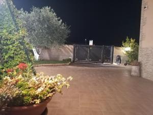 Сад в B&B Villa Venere