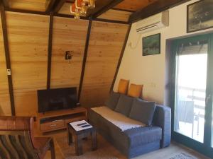 TV a/nebo společenská místnost v ubytování Kuća za odmor Andrej + 16 fotografií