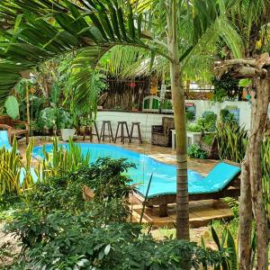 a pool with a chair and a palm tree at Pousada JeriMagia in Jericoacoara