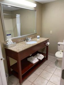 Quality Inn & Suites Georgetown - Seaford的一间浴室