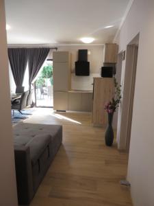 Televízia a/alebo spoločenská miestnosť v ubytovaní Apartments Amfa