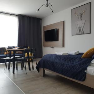 TV a/nebo společenská místnost v ubytování Q Apart AMBER - klimatyzowane STUDIO przy Manufakturze z garażem Gratis, FV