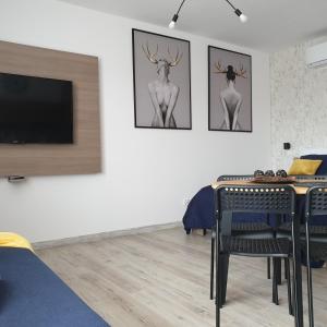 TV a/nebo společenská místnost v ubytování Q Apart AMBER - klimatyzowane STUDIO przy Manufakturze z garażem Gratis, FV