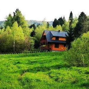 a wooden cabin in a field of green grass at DoMarka całoroczny dom w Bieszczadach in Wetlina