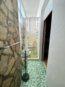 uma casa de banho com um WC e uma cabina de duche ao nível do chão em Villa Mirna em Rimini