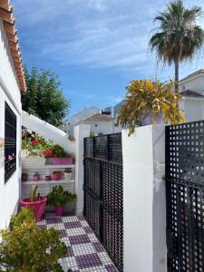Vonkajšia záhrada v ubytovaní STUDIO -PATIO ANDALUZ-
