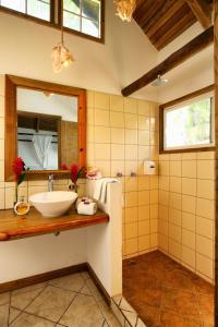 a bathroom with a sink and a mirror at Villa Caribe in Lívingston