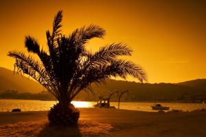 a palm tree on the beach with a sunset in the background at Holiday Home (139-3) in Vis