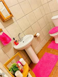 a bathroom with a sink and a toilet and pink mats at Birds Paradise in Durban