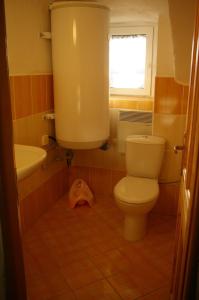 a bathroom with a toilet and a sink at Roubenka Ruzova in Růžová