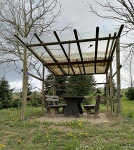 Zahrada ubytování Schlaffass und Hütte mit Teich