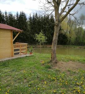 Zahrada ubytování Schlaffass und Hütte mit Teich