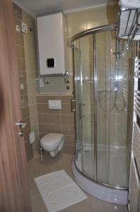 a bathroom with a toilet and a glass shower at Widder Rooms in Osijek