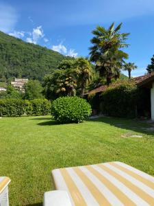 einen grünen Hof mit einem Haus und einer Palme in der Unterkunft Azalea Appartamenti in Cannobio