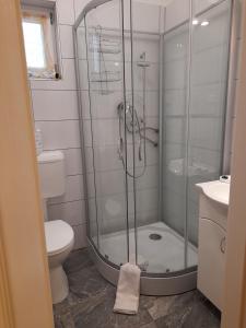 a bathroom with a shower with a toilet and a sink at Bella Badacsony Apartmanház in Badacsonytomaj
