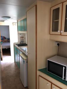 una pequeña cocina con armarios verdes y microondas en Buona Mobile Homes, en Lido di Spina