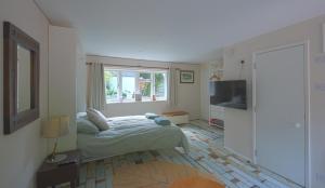 1 dormitorio con 1 cama y TV en Studio in Lansdown, Bath BA1 en Bath