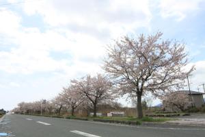 Fotografie z fotogalerie ubytování 風車村2-1-21号 v destinaci Aiba