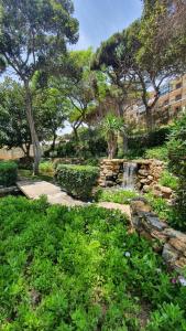 Zahrada ubytování APARTAMENT MANSION BEACHFRONT - Apartments with sea views