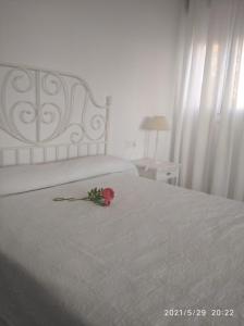 różowa róża na białym łóżku z kwiatem w obiekcie Apartamentos Sanlúcar Beach 2 y 3 w mieście Sanlúcar de Barrameda