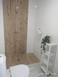 łazienka z prysznicem, toaletą i rośliną w obiekcie Apartamentos Sanlúcar Beach 2 y 3 w mieście Sanlúcar de Barrameda