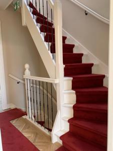 a staircase with red carpet and white railings at The Harbour Leiden in Leiden +26 photos