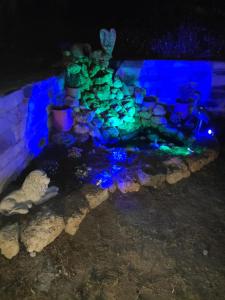 Zahrada ubytování Villa Belian 1