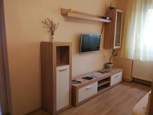 Televízia a/alebo spoločenská miestnosť v ubytovaní Ágnes Vendégház