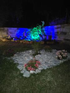 Zahrada ubytování Villa Belian 1