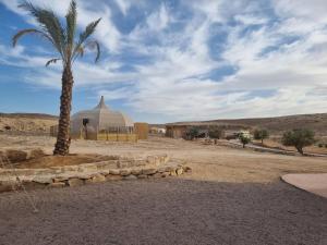 eine Palme und eine Moschee in der Wüste in der Unterkunft Manduma - מנד'ומה אירוח מדברי in Mitzpe Ramon