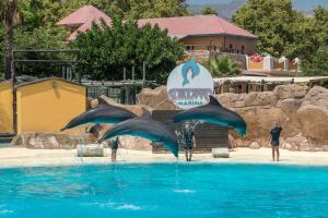 The swimming pool at or close to BENAL BEACH, Superb 2 Bedroom 2 Bathroom Beach front Apartment sleeps 6