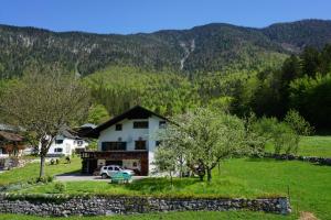 a house in a field with mountains in the background at Apartment Haider 1 in Obertraun