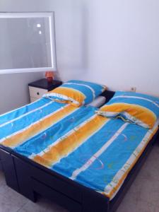 Fotografie z fotogalerie ubytování Apartmani Ankica i Mirko v destinaci Vir
