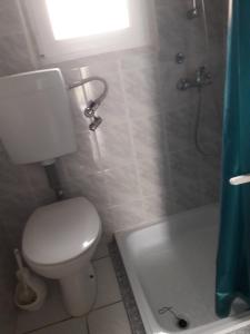 Fotografie z fotogalerie ubytování Apartmani Ankica i Mirko v destinaci Vir + 4 fotografie